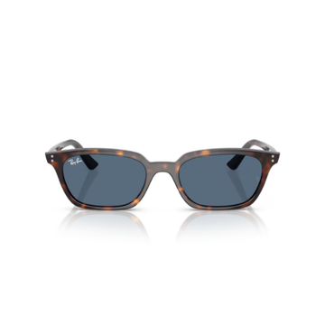 RAY BAN 4456
