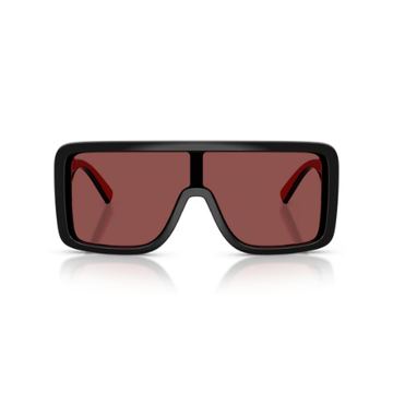 DOLCE & GABBANA 6204