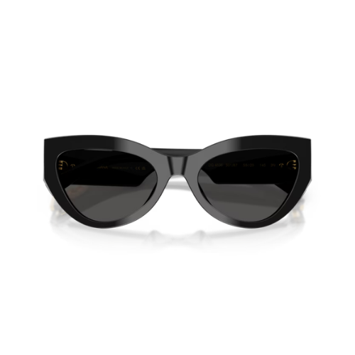 DOLCE & GABBANA 4536