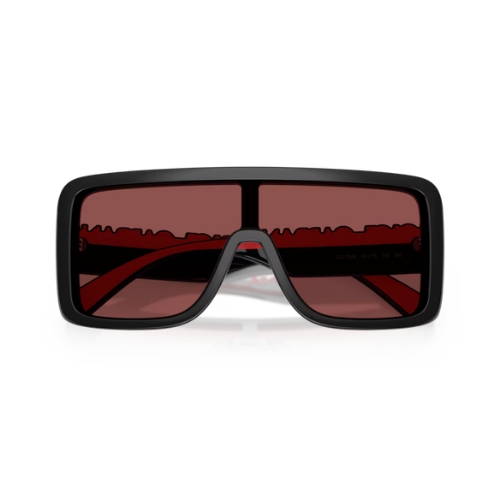 DOLCE & GABBANA 6204