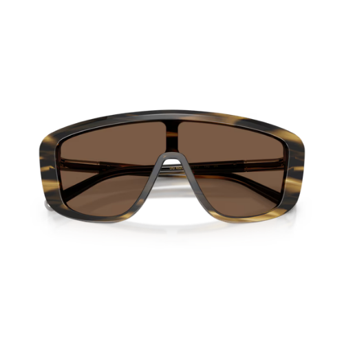 DOLCE & GABBANA 4520